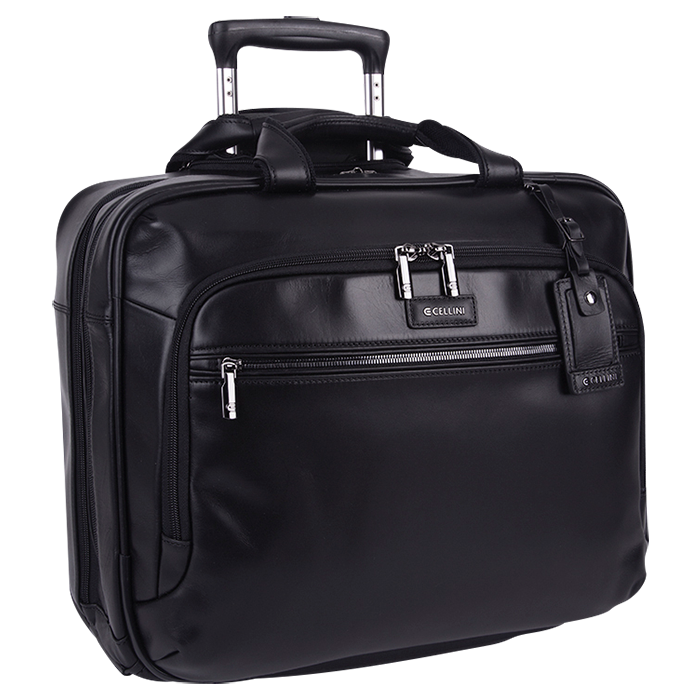 Cellini Infinity Multipocket Digital Business Case