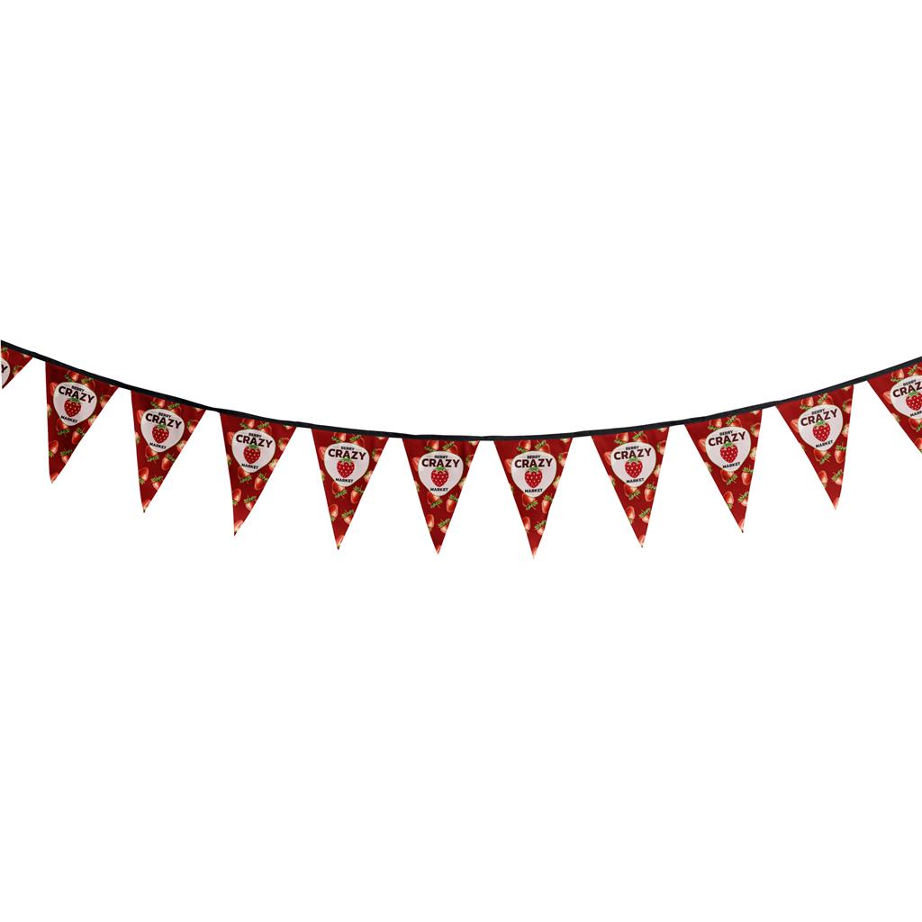 Sublimated Single-Sided Polyester Triangle Bunting 10m