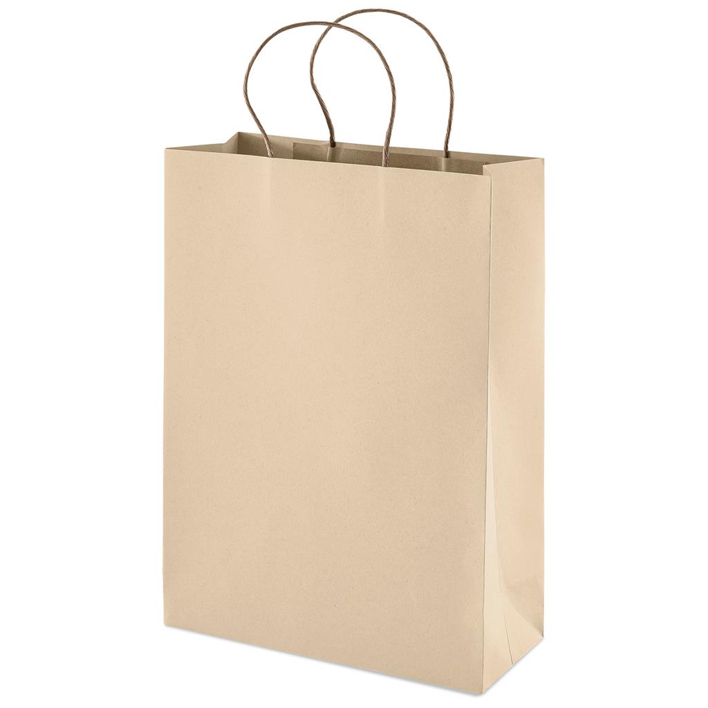 Large Eco-Friendly Paper Gift Bag