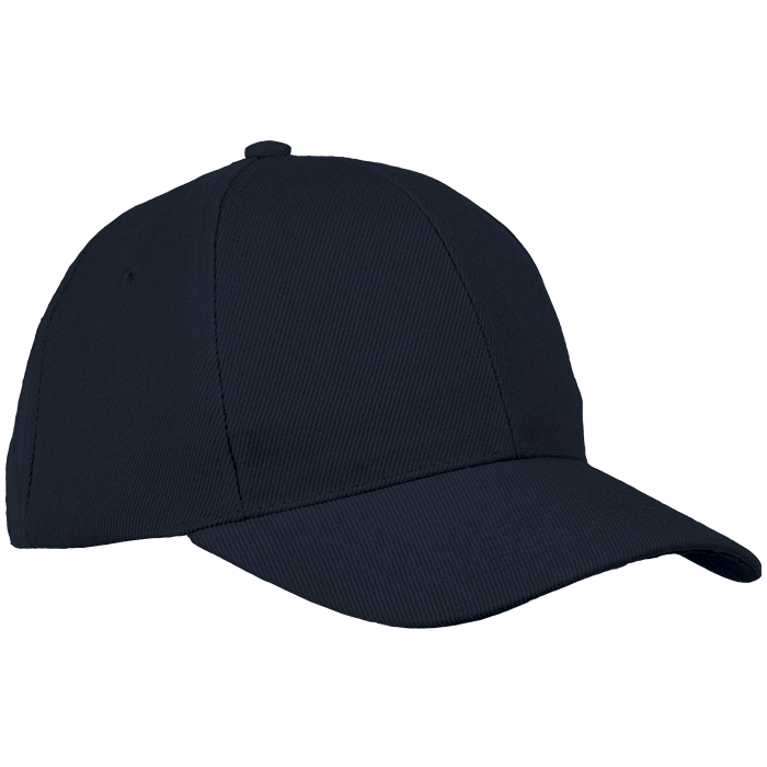 6 Panel Raven Cap Navy / STD / Regular - Caps