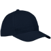 6 Panel Raven Cap Navy / STD / Regular - Caps