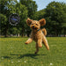 Champ Pet Set - Pets,Pet Accessories,Pets