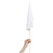 Champion Medium Hand Flag 450mm x 300mm - Indoor Flags