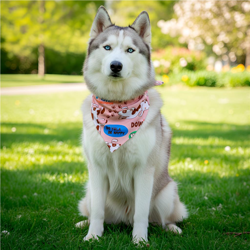 Pre-Production Sample Custom Bosco Large Polyester Dog Bandana L / SOLID WHITE - Pet Accessories
