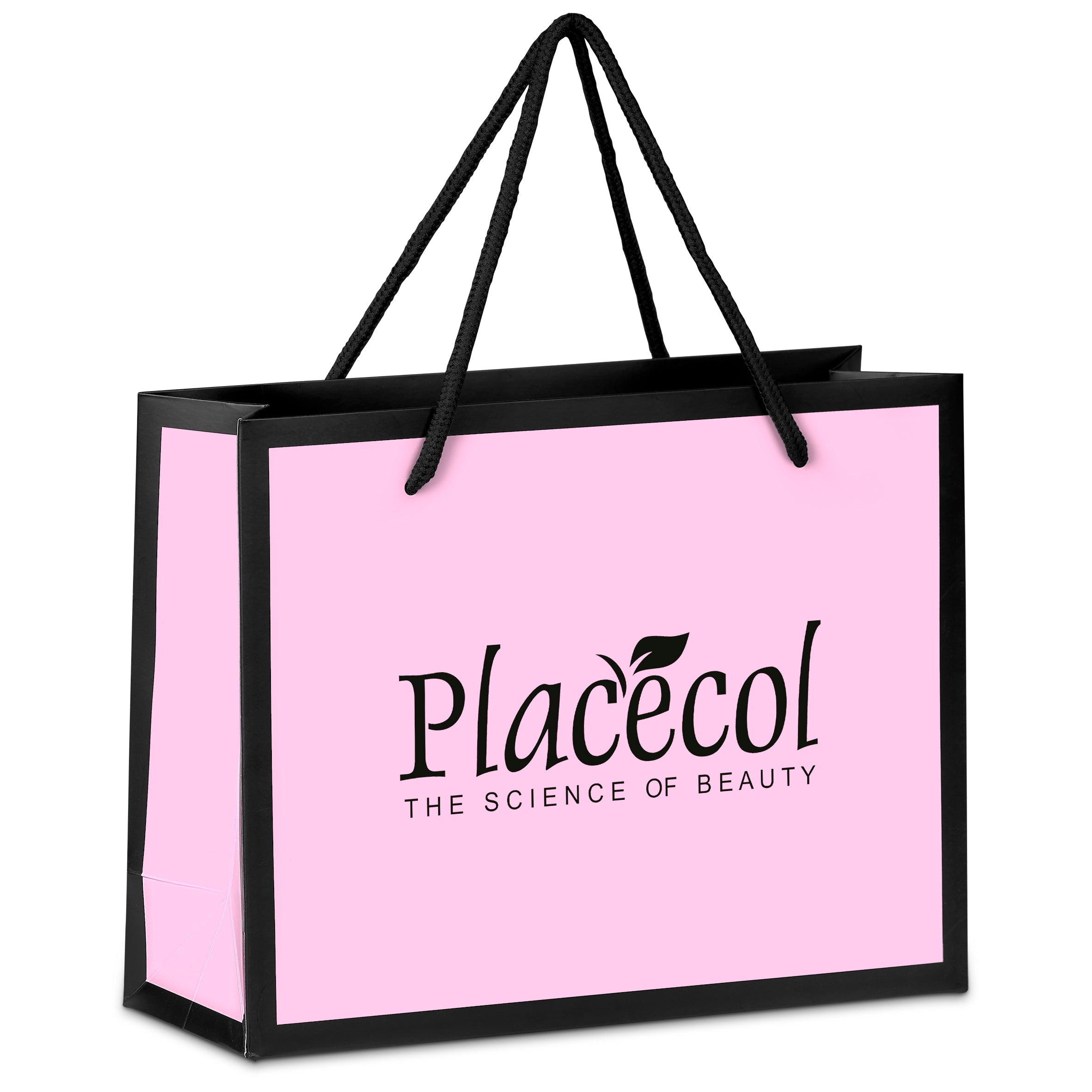 Regis Premium Mini Paper Gift Bag Pink / PI