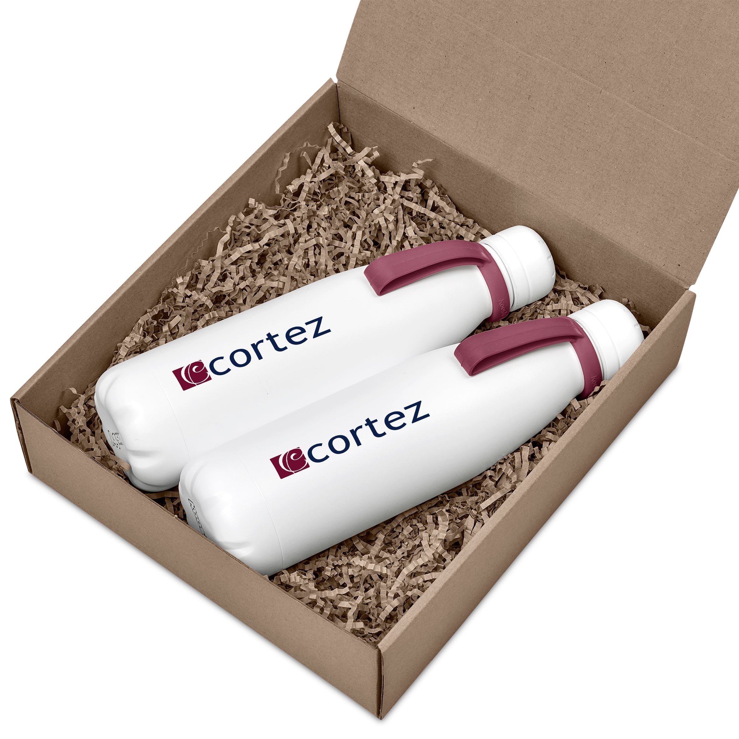 Tetra Water Bottle Set Maroon / M